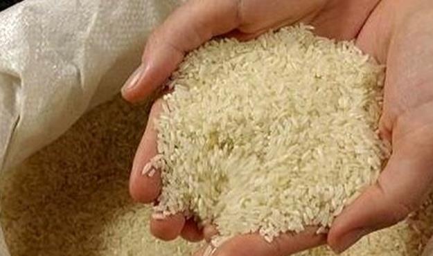 واردکنندگان برنج دست به دامن رئیس جمهور شدند 