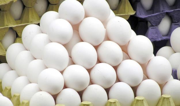  قیمت هر شانه تخم مرغ به بیش از ۵۵ هزار تومان رسید!