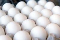  عرضه گسترده تخم مرغ با قیمت شانه ای ۴۲۵۰۰ تومان از امروز 