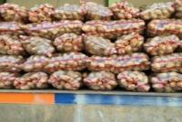  هشدار اتحادیه بارفروشان درباره صادرات سیب زمینی
