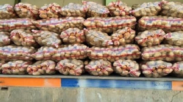  هشدار اتحادیه بارفروشان درباره صادرات سیب زمینی