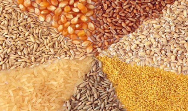  واردات مرغ تا پایان سال ادامه دارد/ رشد ۶۶ درصدی توزیع نهاده دامی