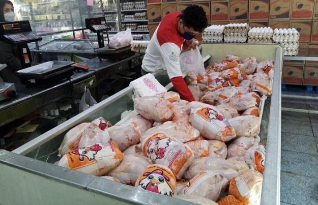 قیمت مرغ گرم در تهران کاهش یافت 