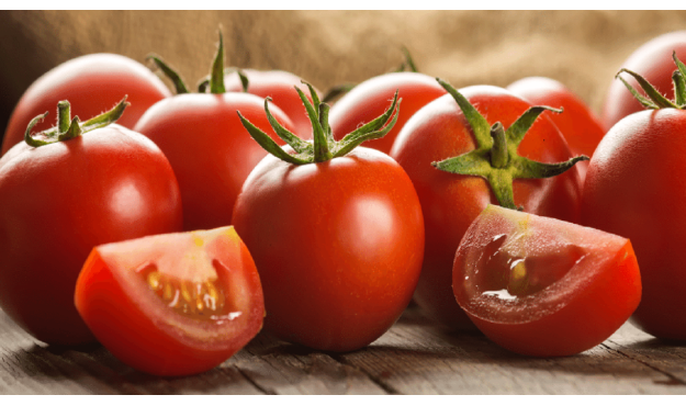  هزینه بالای حمل و نقل علت اصلی نوسان قیمت گوجه فرنگی