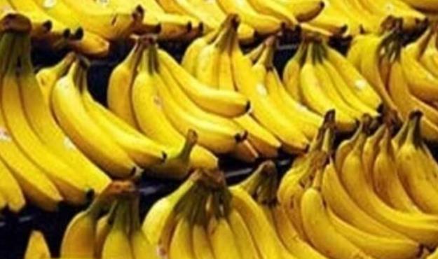  پاسکاری واردات موز/ ۳۰۰۰ تن بلاتکلیف ماند