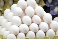  چرا تخم مرغ دو نرخی است؟