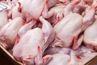  افزایش ۱۵ تا ۲۰ درصدی هزینه های تولید مرغ زنده 