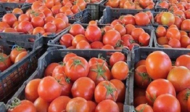 عرضه گسترده گوجه‌فرنگی با قیمت ۹ هزار تومان
