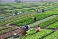  پیش‌بینی هولناک؛ کشاورزی در ایران به زودی تعطیل می‌شود