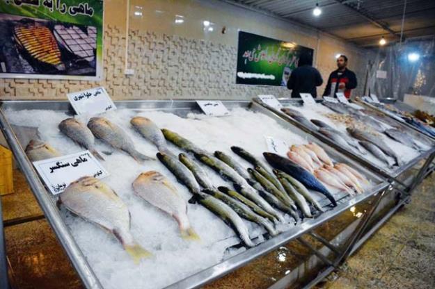 قیمت ماهی به کیلویی ۱۰۰ هزار تومان رسید 