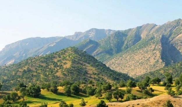 جنگل‌های زاگرس تامین کننده ۴۰ درصد آب کشور