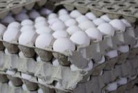 تخم‌مرغ ۱۰۰ هزار تومانی گرانفروشی است