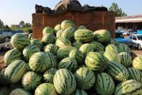  عراق واردات ۶ محصول کشاورزی از همه کشورها را ممنوع کرد 