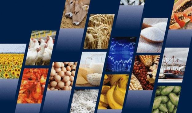 کاهش فروش کالاهای اساسی پس از حذف ارز ترجیحی