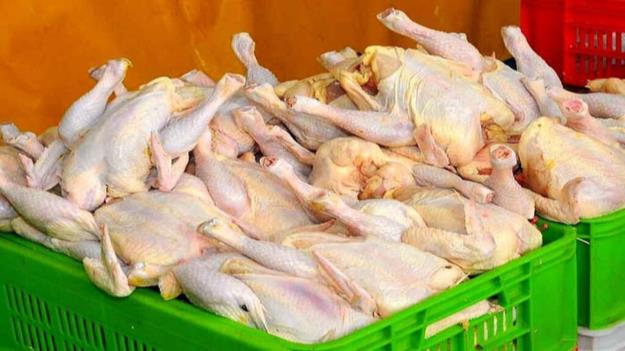  زیان ۱۵ هزار تومانی مرغداران در فروش هر کیلو مرغ