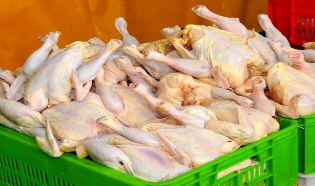  زیان ۱۵ هزار تومانی مرغداران در فروش هر کیلو مرغ