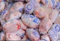توزیع گوشت مرغ منجمد با قیمت ۴۸ هزار تومان در بازار