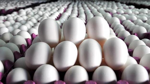 نرخ انواع تخم مرغ تعیین شد