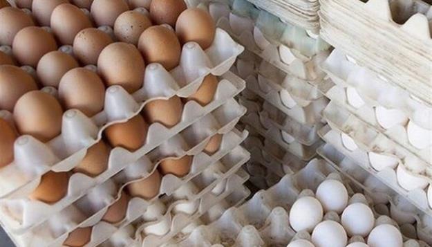 مرغداران خواستار اعلام نرخ جدید تخم مرغ شدند 
