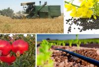  چالش اصلی پیش روی صادرات محصولات کشاورزی چیست؟