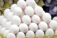  عرضه تخم مرغ بالاتر از ۹۰ هزار تومان گرانفروشی است