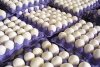  تازه ترین قیمت تخم مرغ در میادین و بازار