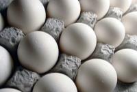 هر شانه تخم‌مرغ برای مصرف‌کننده چقدر تمام می‌شود؟