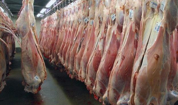 قیمت نهاده های دام عامل گرانی گوشت قرمز است