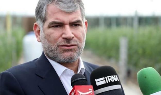 وزیر جهاد کشاورزی‌: ‌‌گوشت منجمد توزیعی در بازار ایرانی است