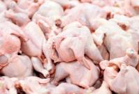مجوز واردات ۵۰ هزار تن گوشت مرغ گرم صادر شد