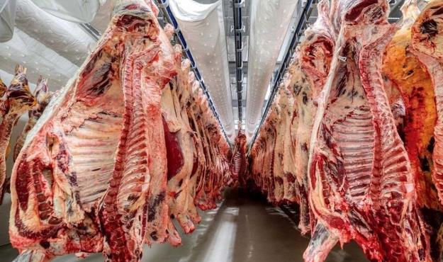 قیمت گوشت همچنان برای مصرف‌کنندگان بالاست
