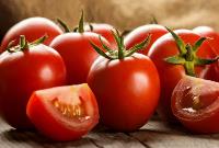  افزایش قیمت گوجه فرنگی مقطعی است