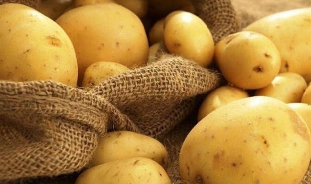  صادرات پیاز و سیب زمینی از اول خرداد ممنوع می شود 