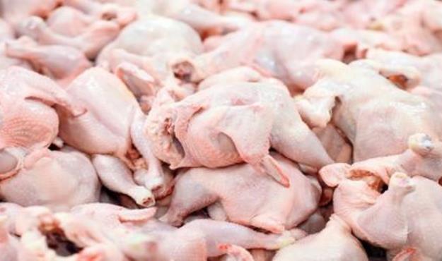 اگر مرغ با قیمت مصوب توزیع نشو‌د قطعاً وارد می‌کنیم 