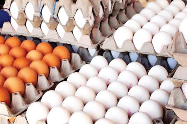 فروش تخم مرغ درب واحدهای تولیدی همچنان زیر قیمت مصوب