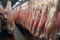 گوشت گوسفند کنیا به ایران رسید 