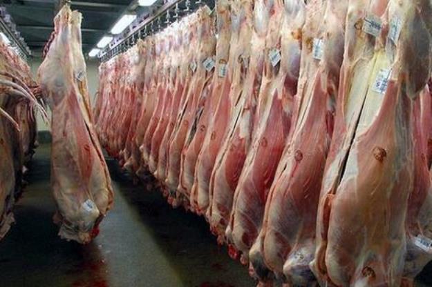 گوشت گوسفند کنیا به ایران رسید 