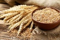 نرخ هر کیلو گندم برای خرید تضمینی ۱۹.۵۰۰ تومان تعیین شد