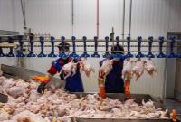  افزایش عجیب قیمت مرغ و گوشت از کشتارگاه تا بازار
