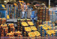 اعلام قیمت عمده انواع میوه و سبزی در بازار+جدول