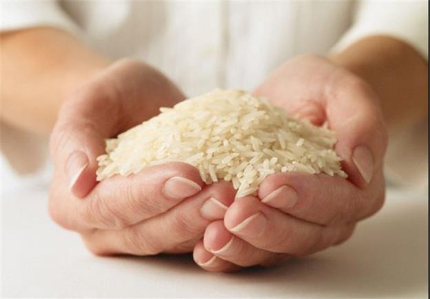  رکوردشکنی بی سابقه؛ قیمت یک کیلو برنج ایرانی از یارانه بیشتر شد