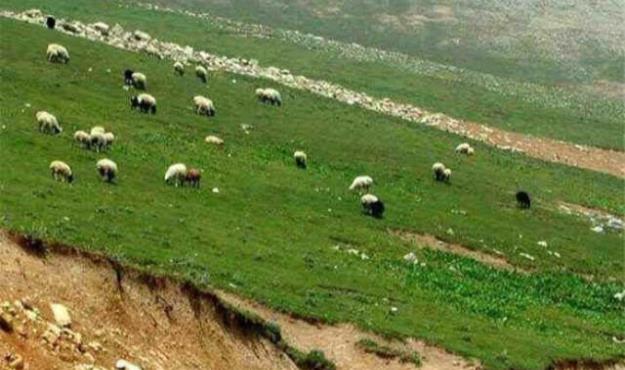 آغاز طرح مردمیسازی مدیریت مراتع با همکاری بیش از یک میلیون خانواده