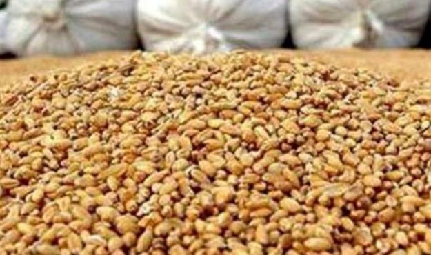  ثبت سفارش سیستمی نهاده دامی و روغن آغاز شد 