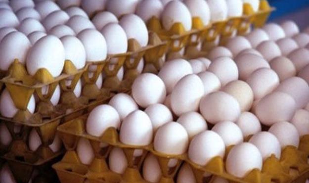تخم مرغ درب مرغداری به کیلویی ۲۵ هزار تومان رسید