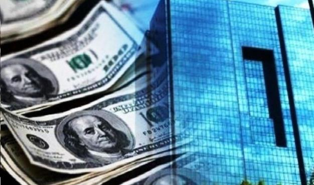  جزئیات ارز پرداختی به واردات/ خودرو چقدر ارز گرفت؟ 