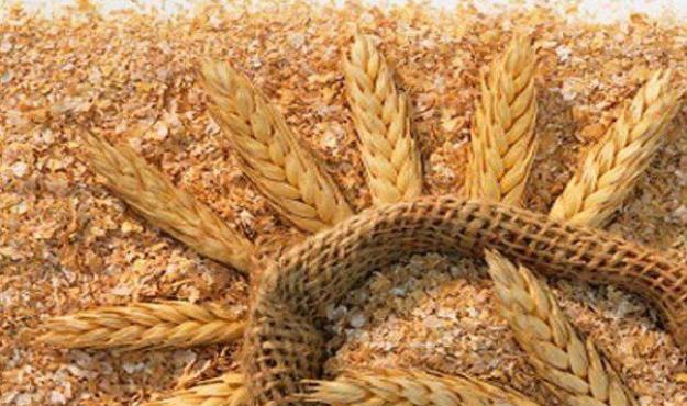  قیمت سبوس گندم آزاد شد