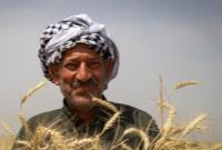 ساز و کار خرید تضمینی گندم از کشاورزان مشخص شد