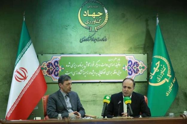  خودکفایی گوشت، برنج، شکر و موز تا سه‌سال آینده