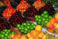 کاهش ۳۰ درصدی قیمت میوههای نوبرانه در روزهای آتی