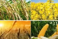قیمت خرید تضمینی محصولات اساسی به زودی ابلاغ میشود